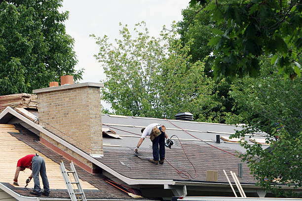 Best Metal Roofing Contractor  in Stevens Point, WI